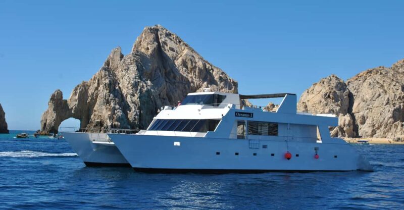 Los Cabos: Whale Watching Cruise With Open Bar - Key Points