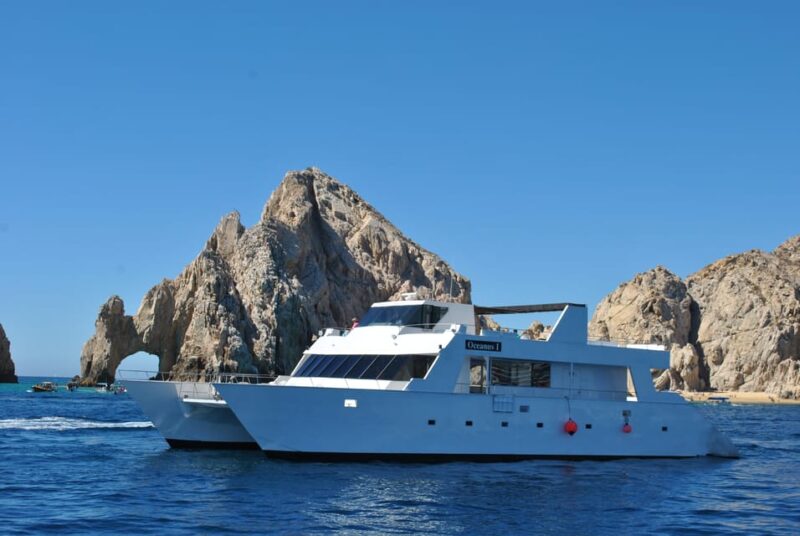 Los Cabos: Whale Watching Cruise With Open Bar - Customer Reviews and Ratings