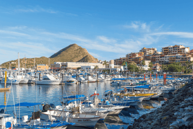 Los Cabos: Whale Watching Cruise With Open Bar - Frequently Asked Questions