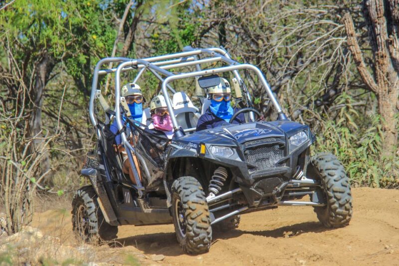 Los Cabos: Zip Lines and UTVs With Mexican Lunch and Drinks - Adventure Highlights
