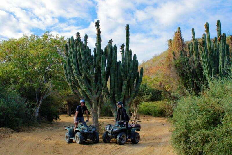Los cabos:ATV beach&desert with transfer & tequila tasting - What the Reviews Reveal
