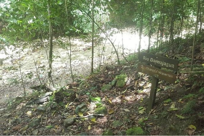 Los Charcos Waterfalls Adventure - Plan Your Unforgettable Excursion