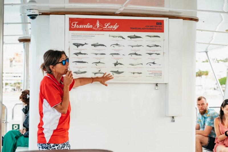 Los Cristianos: Eco-Yacht Whale Watching Cruise With Swim - Vessel and Eco-Commitment