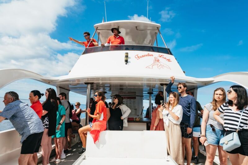 Los Cristianos: Eco-Yacht Whale Watching Cruise With Swim - Meeting and Arrival Details