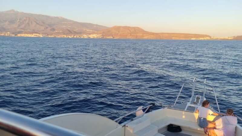 Los Cristianos: Eco Yacht Whale Watching Tour at Sunset - Important Guidelines