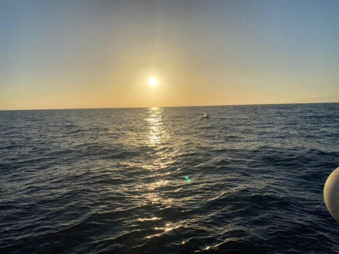 Los Cristianos: Eco Yacht Whale Watching Tour at Sunset - Scenic Views and Sunset