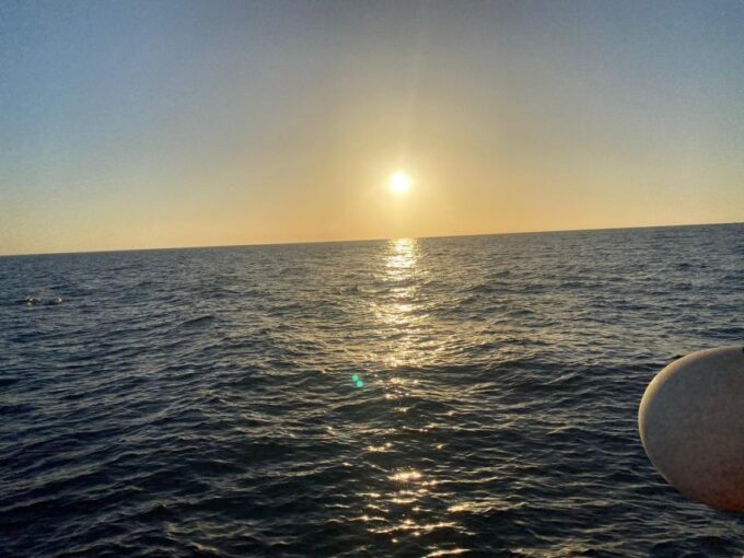 Los Cristianos: Eco Yacht Whale Watching Tour at Sunset - Accessibility and Accommodations