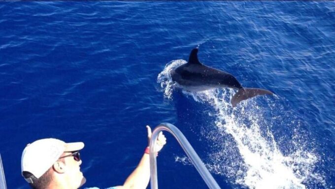 Los Cristianos: Eco Yacht Whale Watching Tour at Sunset - Frequently Asked Questions