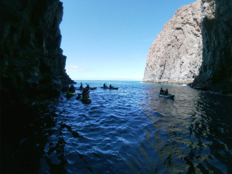 Los Cristianos: Kayak and Snorkel With Turtles and Photos - What to Bring