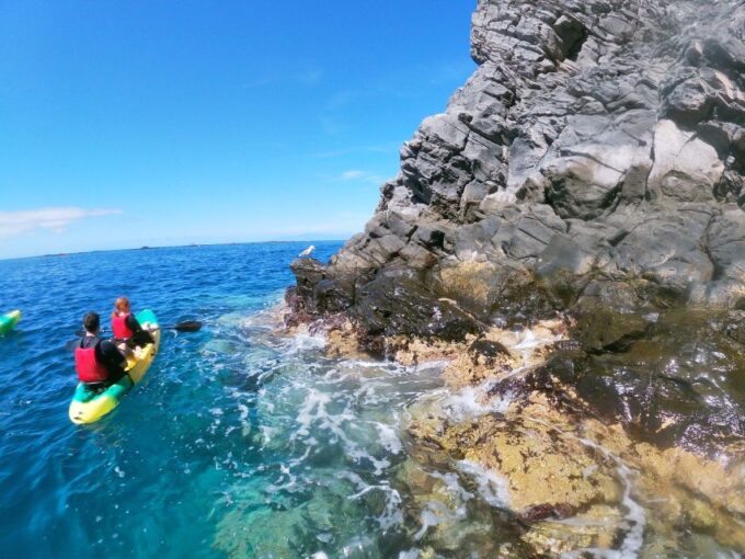 Los Cristianos: Kayak and Snorkel With Turtles and Photos - Participant Requirements
