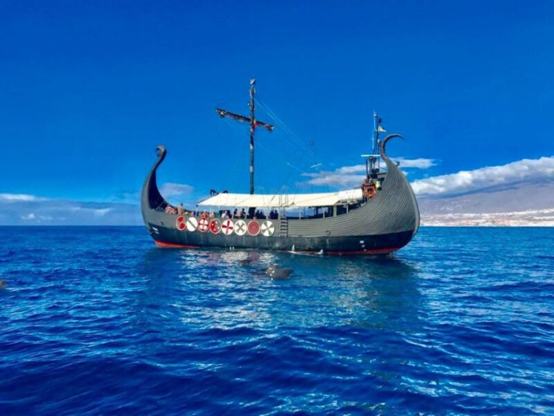 Los Cristianos: Observation With Respect for Whales & Dolphins - Sustainable Whale Watching Practices