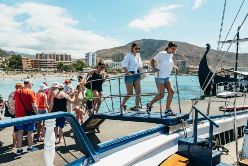 Los Cristianos: Respectful No-Chase Whale and Dolphin Cruise - Cruise Pricing and Availability
