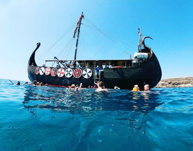 Los Cristianos: Whale and Dolphin Cruise With Swimming Time - Key Points