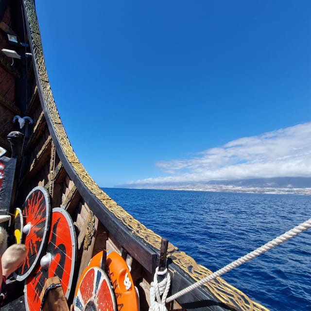 Los Cristianos: Whale and Dolphin Cruise With Swimming Time - Onboard Amenities
