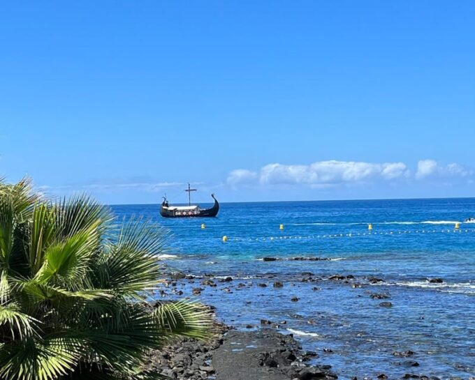 Los Cristianos: Whale and Dolphin Cruise With Swimming Time - Booking and Cancellation Policy