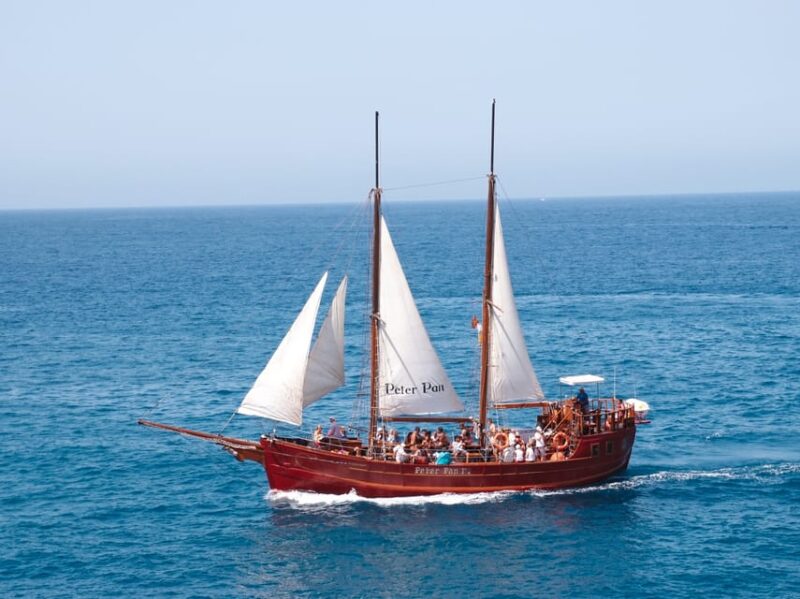Los Cristianos: Whale-Watching Sailboat Tour 3 Hrs and Food. - Key Points