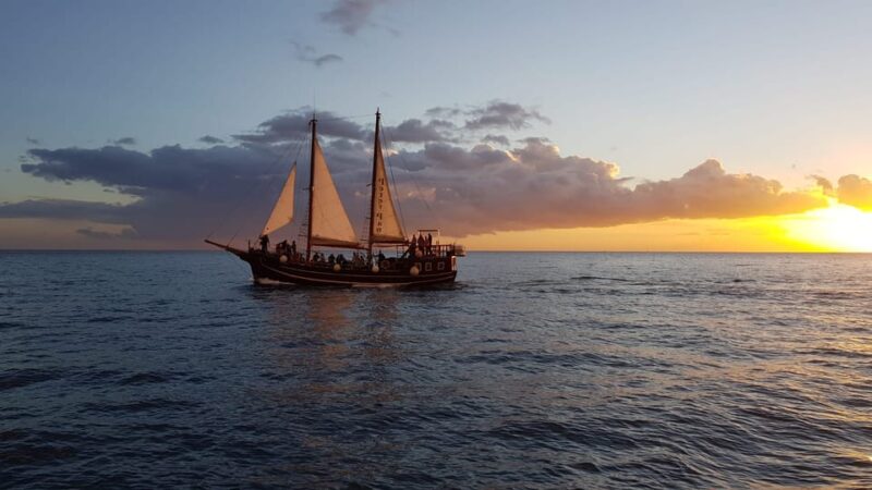 Los Cristianos: Whale-Watching Sailboat Tour 3 Hrs and Food. - Whale-Watching Experience