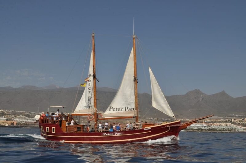 Los Cristianos: Whale-Watching Sailboat Tour 3 Hrs and Food. - Sailboat Details
