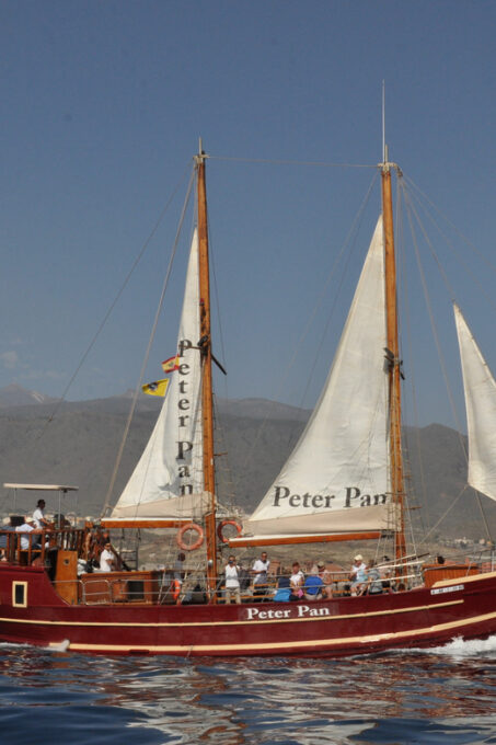 Los Cristianos: Whale-Watching Sailboat Tour 3 Hrs and Food. - Frequently Asked Questions