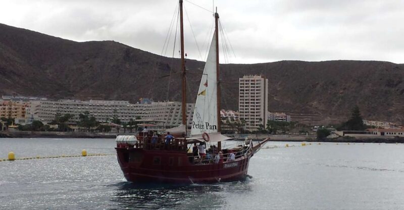 Los Cristianos: Whale-Watching Sailboat Tour and Soft Drinks - Inclusions and Amenities