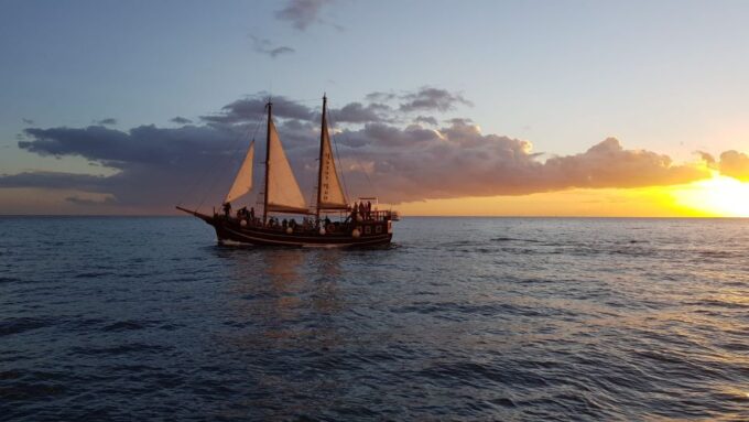 Los Cristianos: Whale-Watching Sailboat Tour and Soft Drinks - Family Friendly Excursion