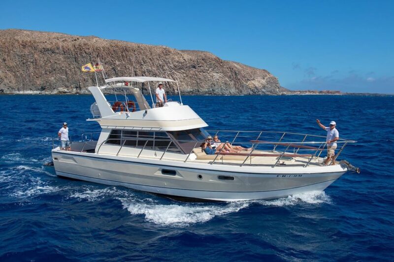 Los Cristianos: Whale Watching Tour and Swimming in the Sea on a Yacht for 22 Persons - Key Points