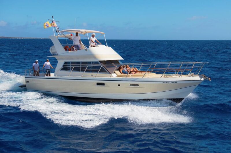 Los Cristianos: Whale Watching Tour and Swimming in the Sea on a Yacht for 22 Persons - Itinerary and Activities