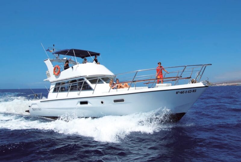 Los Cristianos: Whale Watching Tour and Swimming in the Sea on a Yacht for 22 Persons - Tour Guide and Languages