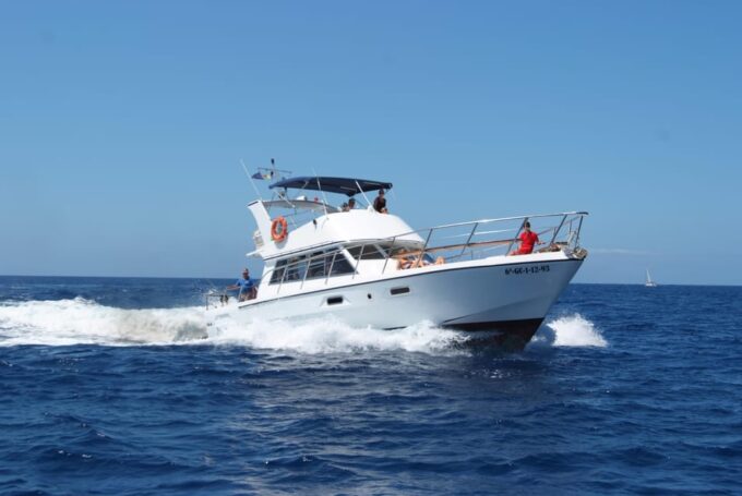 Los Cristianos: Whale Watching Tour and Swimming in the Sea on a Yacht for 22 Persons - Exploring Tenerifes Coastline