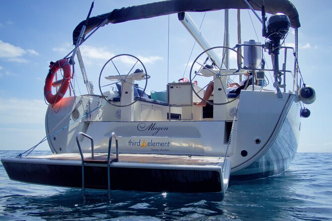 Los Gigantes Whale Watching Charter by Sail Boat - Sightseeing Highlights