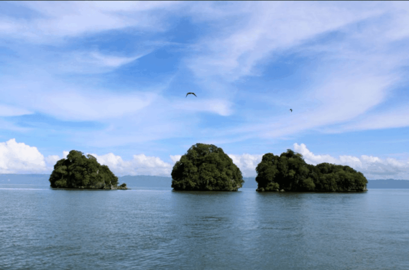 Los Haitises 4 Caves Expedition & Rain Forest Walk - Key Points