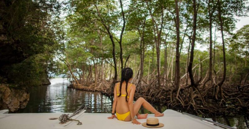 Los Haitises: Boat Excursion and Walking Tour With Lunch - Key Points