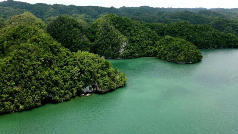 Los Haitises: Boat Excursion and Walking Tour With Lunch - Lunch at Cayo Levantado