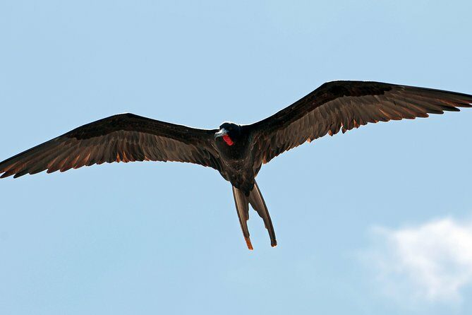 Los Haitises National Park and Cayo Levantado Island Day Trip from Samana - Who Will Enjoy This Tour?