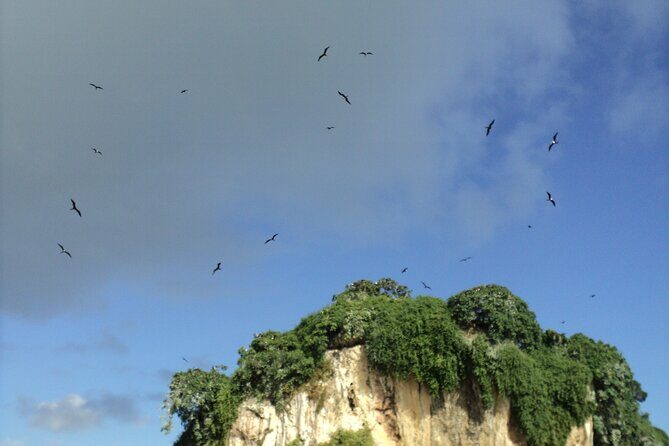 Los Haitises National Park and Cayo Levantado Island Day Trip from Samana - Final Thoughts