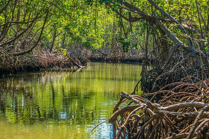 Los Haitises National Park - Cancellation and Booking