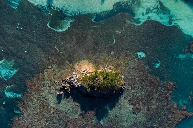 Los Haitises National Park Hiking 2 Hours and Kayaking 4 Hours - Kayaking Adventure