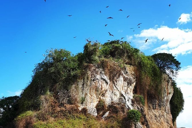 Los Haitises National Park Hiking 2 Hours and Kayaking 4 Hours - Inclusions