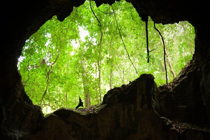 Los Haitises National Park Hiking 2 Hours and Kayaking 4 Hours - Booking Your Stay