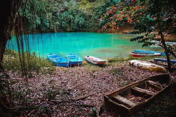 Los Haitises National Park - Hiking in Rain Forest + Private Boat to Caves - Tour Duration and Itinerary