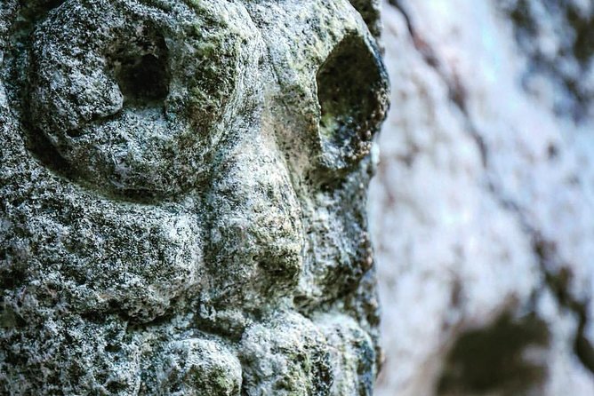 Los Haitises National Park - Hiking in Rain Forest + Private Boat to Caves - Diverse Flora and Fauna Encounters