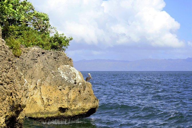 Los Haitises National Park Hiking + Kayaking - Enjoying a Refreshing Lunch