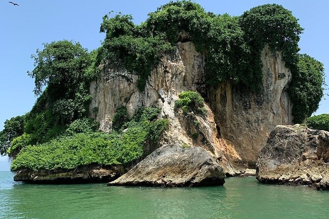 Los Haitises National Park Private Boat – Hiking 4 Hours Moist Forest Trail. - Meeting and Pickup