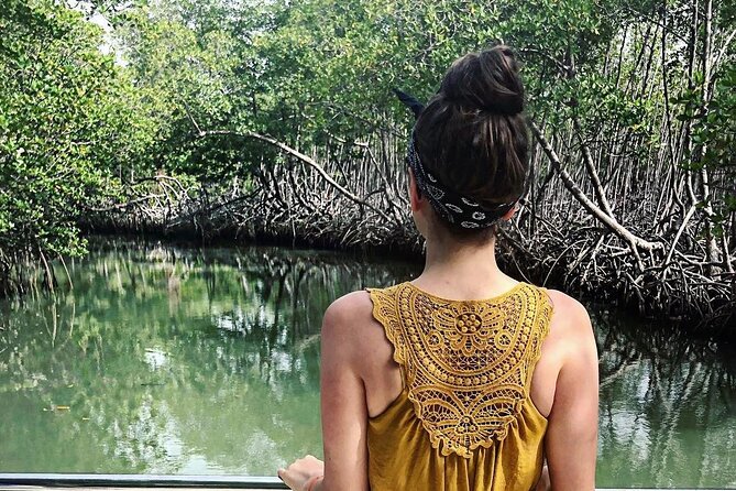 Los Haitises National Park Private Boat – Hiking 4 Hours Moist Forest Trail. - Pricing and Cancellation