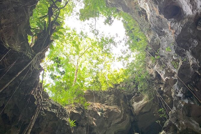 Los Haitises National Park Private Boat – Hiking 4 Hours Moist Forest Trail. - Hiking the Moist Forest Trail