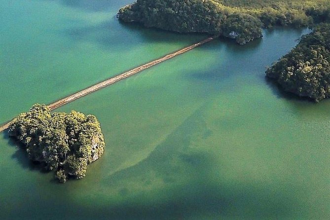 Los Haitises National Park Private Boat Trip Caves and Mangroves - Discover Indigenous Pictographs