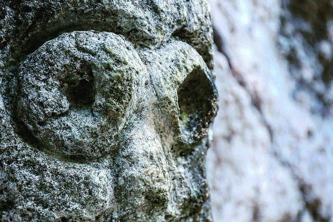 Los Haitises National Park Private Boat Trip Caves and Mangroves - Spotting Local Bird Species