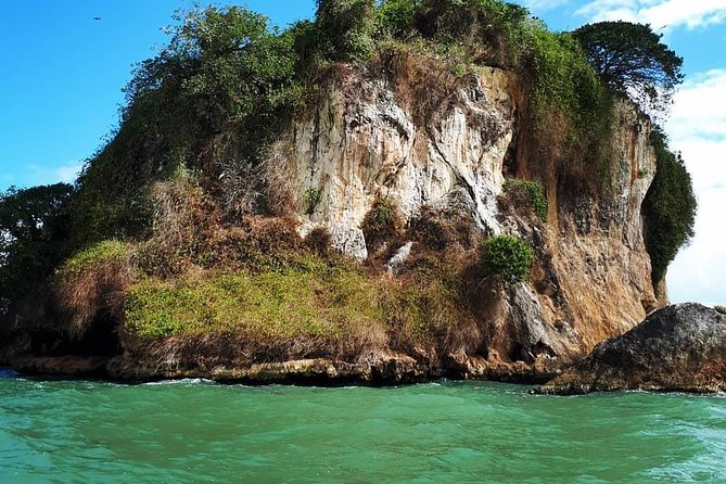 Los Haitises National Park Private Boat Trip Caves and Mangroves - Appreciation for Natures Beauty