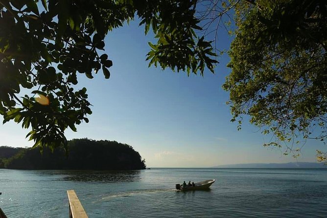Los Haitises National Park Private Boat Trip Caves and Mangroves - Convenient Meeting and Pickup