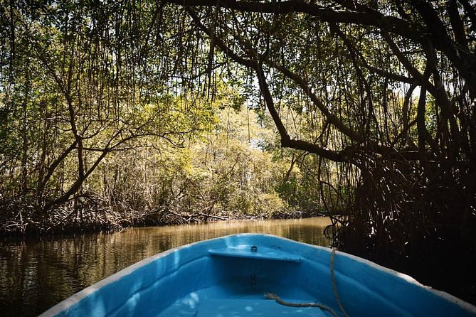 Los Haitises National Park Tour From Las Terrenas or Samana (Half Day Trip) - Boat Safety Concerns